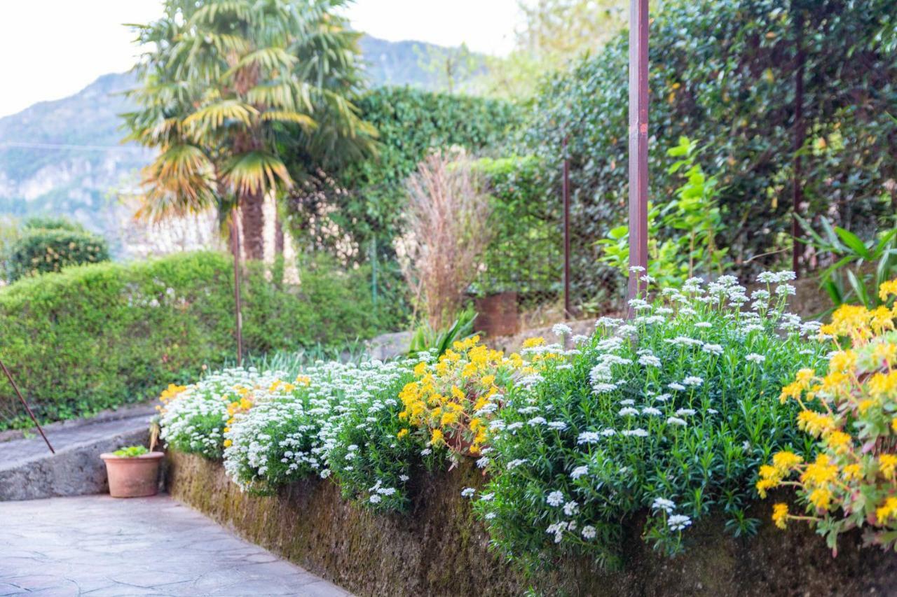 Casa Giulia Villa Lierna Ngoại thất bức ảnh